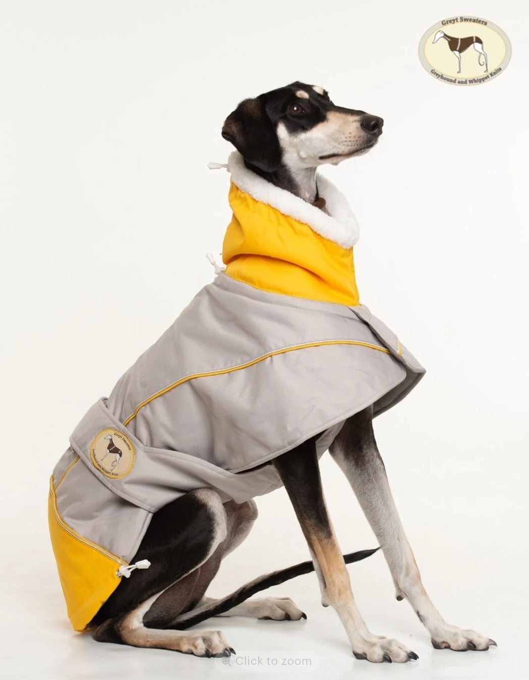 Waterproof Padded Luxury Jacket in yellow for greyhounds and whippets - the luxury winter jacket collection