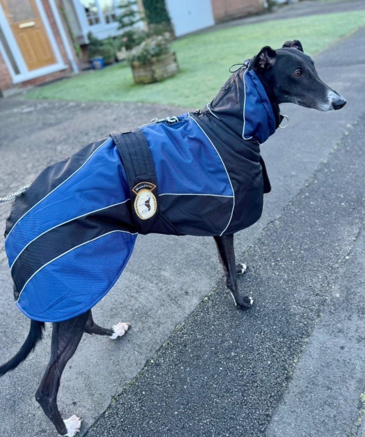 Waterproof Padded Luxury Jacket; Black/Indigo for Whippets - the luxury winter jacket collection