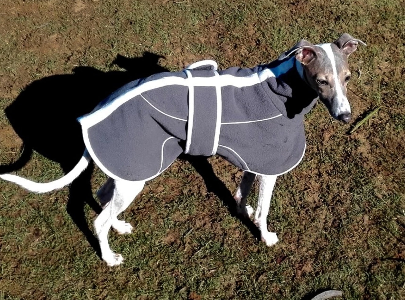 Slate Grey Fleece Housecoat for Greyhounds and whippets - the fleece housecoat collection