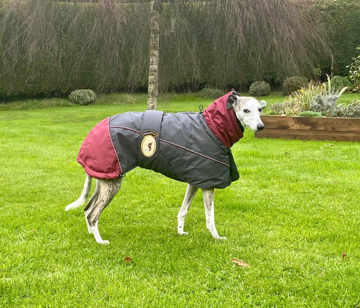 Waterproof Padded Luxury Jacket; Dark Grey/Burgundy for Whippets&Greyhounds - the luxury winter jacket collection