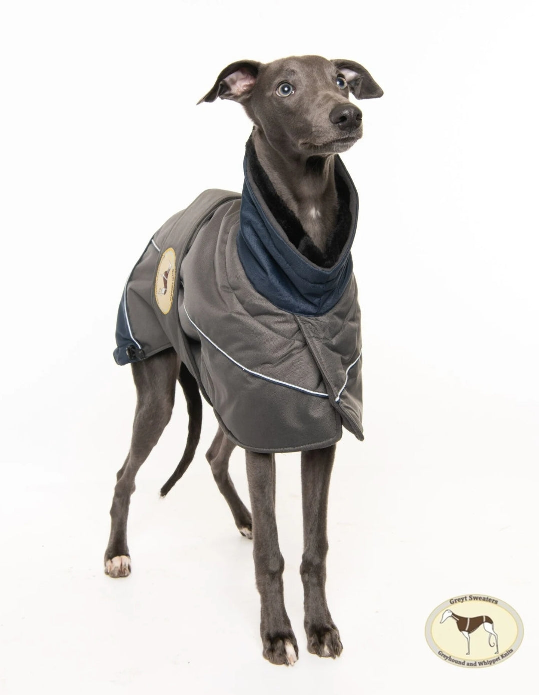 Waterproof Padded Luxury Jacket for Greyhounds Navy/grey- the luxury winter jacket collection