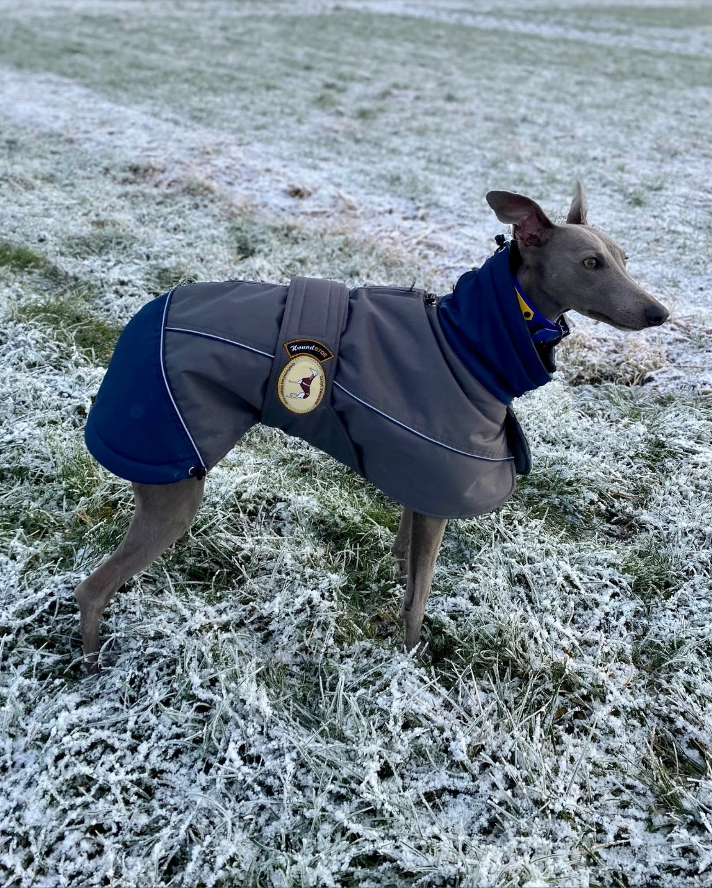 Waterproof Padded Luxury Jacket for Greyhounds Navy/grey- the luxury winter jacket collection