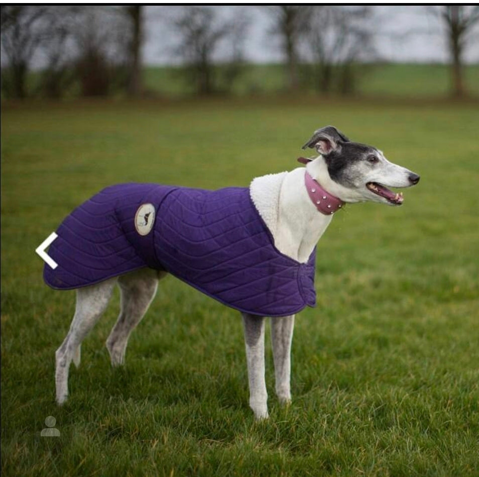 Purple quilted jacket for greyhounds - the premium quilted collection