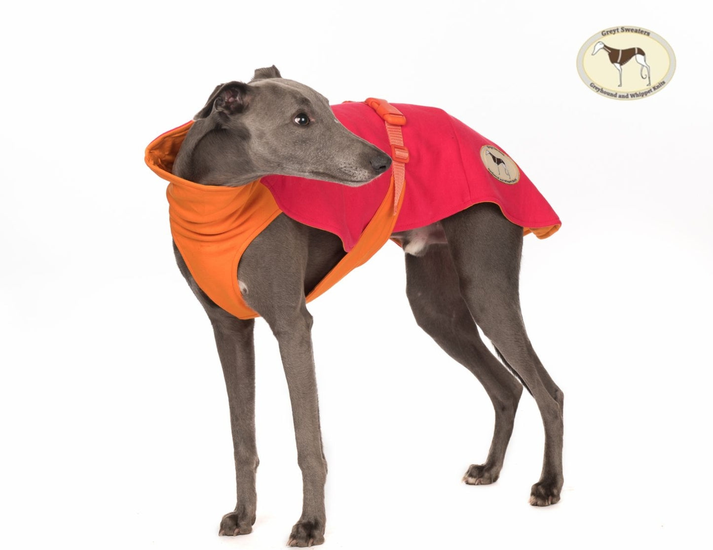 Sweat/Tee shirt for greyhounds, pink+orange - the sweat tee shirt collection