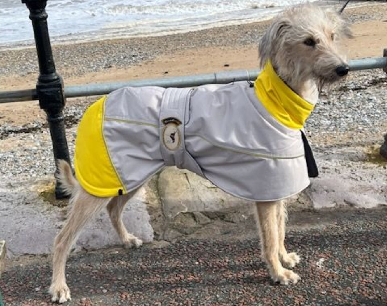 Waterproof Padded Luxury Jacket in yellow for greyhounds and whippets - the luxury winter jacket collection
