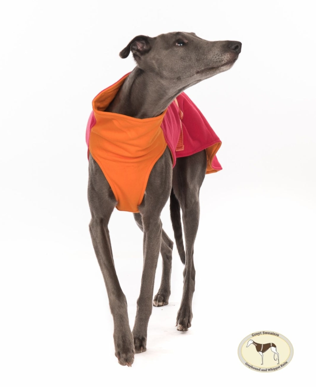 Sweat/Tee shirt for greyhounds, pink+orange - the sweat tee shirt collection