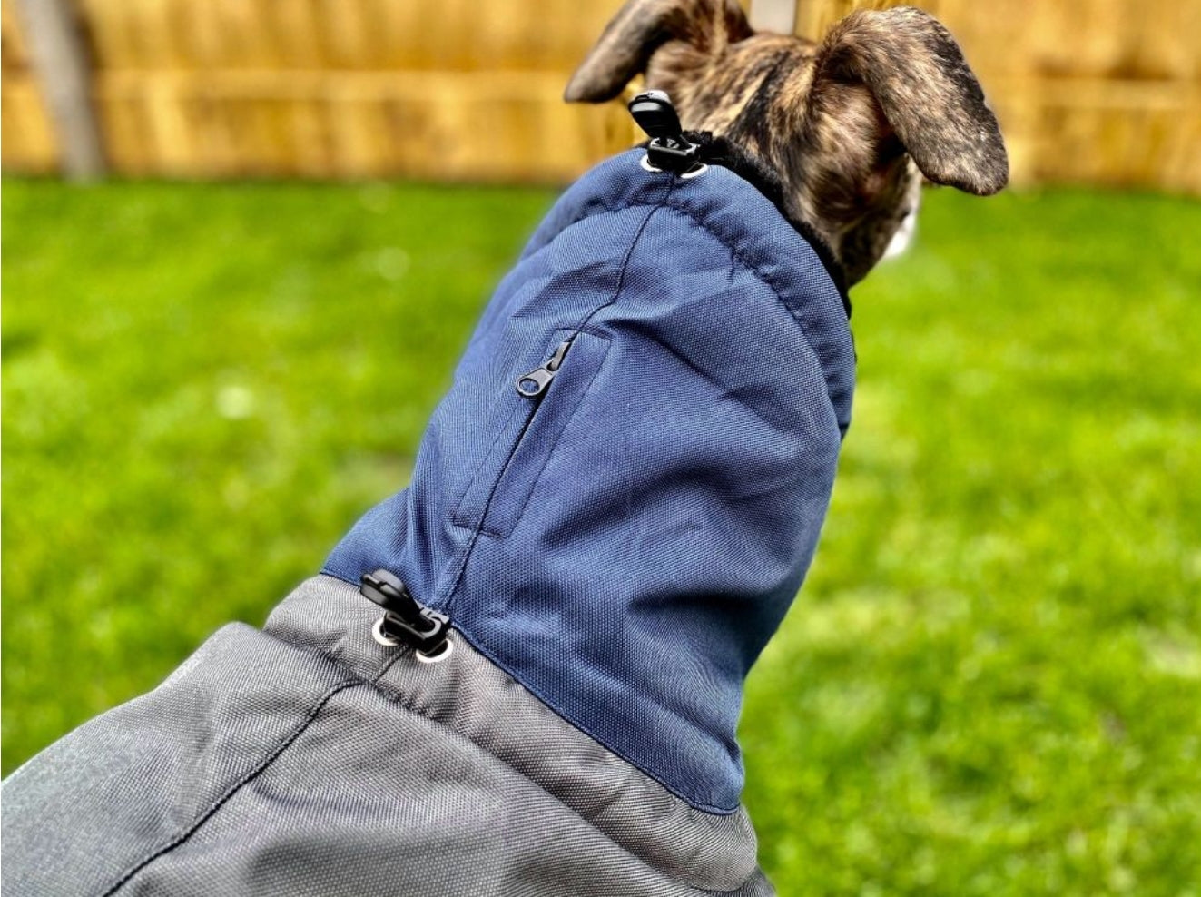 Waterproof Padded Luxury Jacket for Greyhounds Navy/grey- the luxury winter jacket collection