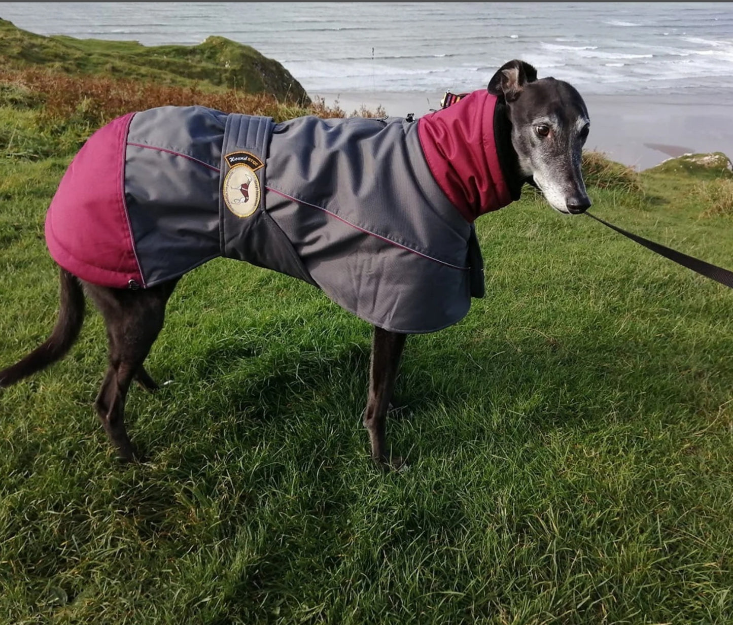 Waterproof Padded Luxury Jacket; Dark Grey/Burgundy for Whippets&Greyhounds - the luxury winter jacket collection