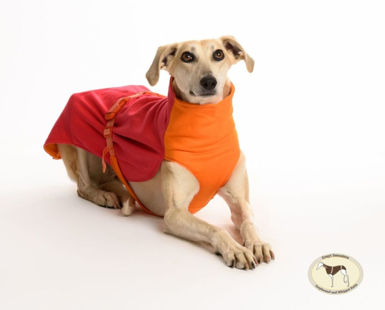 Sweat/Tee shirt for greyhounds, pink+orange - the sweat tee shirt collection