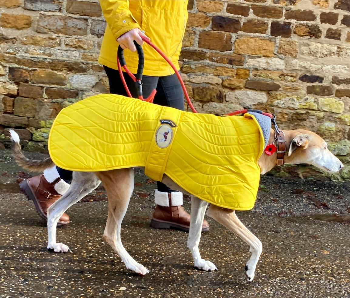 Sunny Yellow Quilted Jacket for Whippets - the premium quilted collection