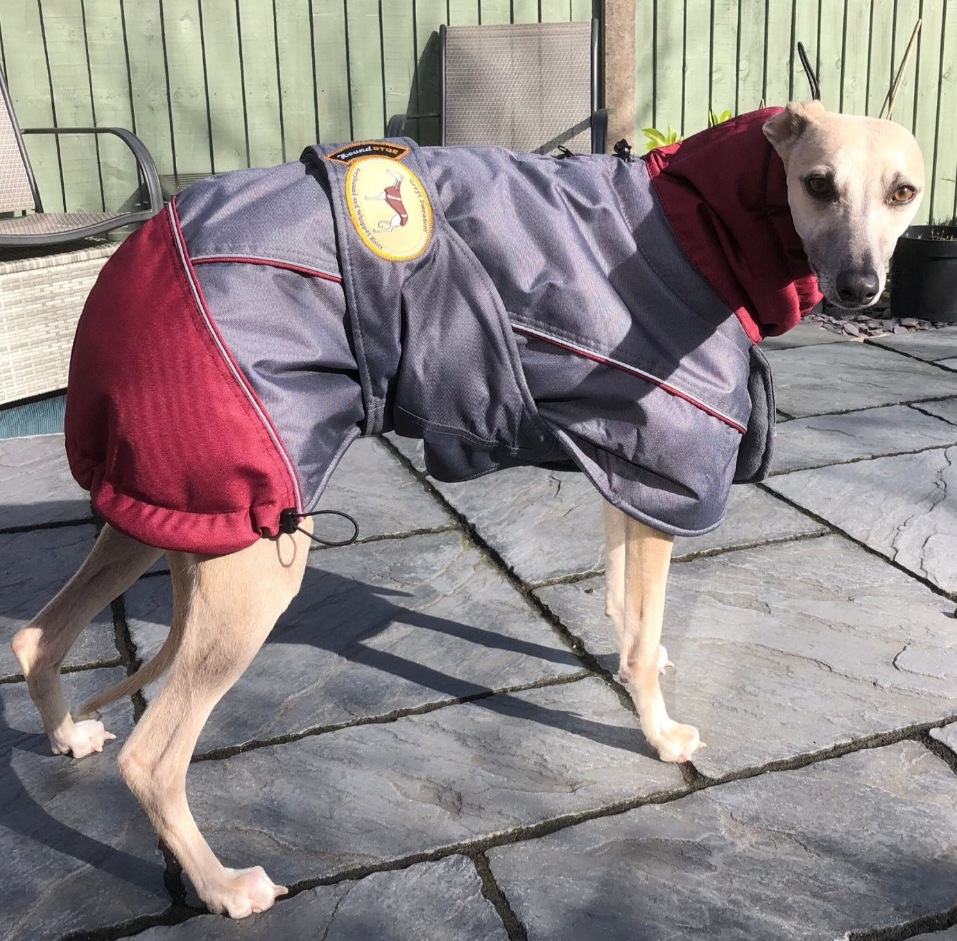 Waterproof Padded Luxury Jacket; Dark Grey/Burgundy for Whippets&Greyhounds - the luxury winter jacket collection