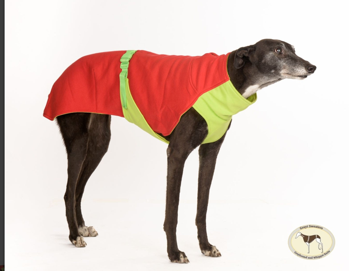 Sweat /Tee shirt for whippets red&lime green- the sweat tee shirt collection