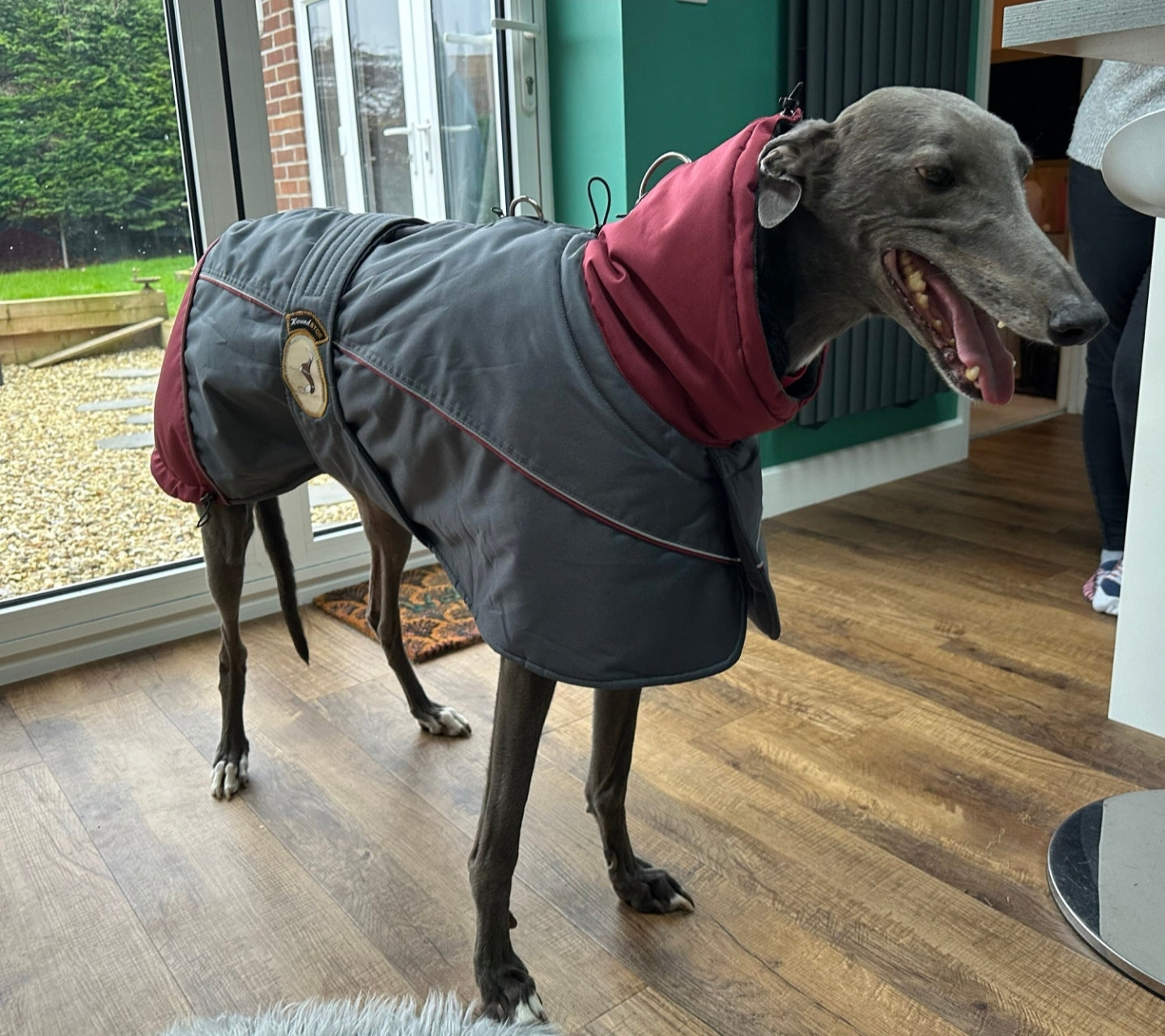 Waterproof Padded Luxury Jacket; Dark Grey/Burgundy for Whippets&Greyhounds - the luxury winter jacket collection