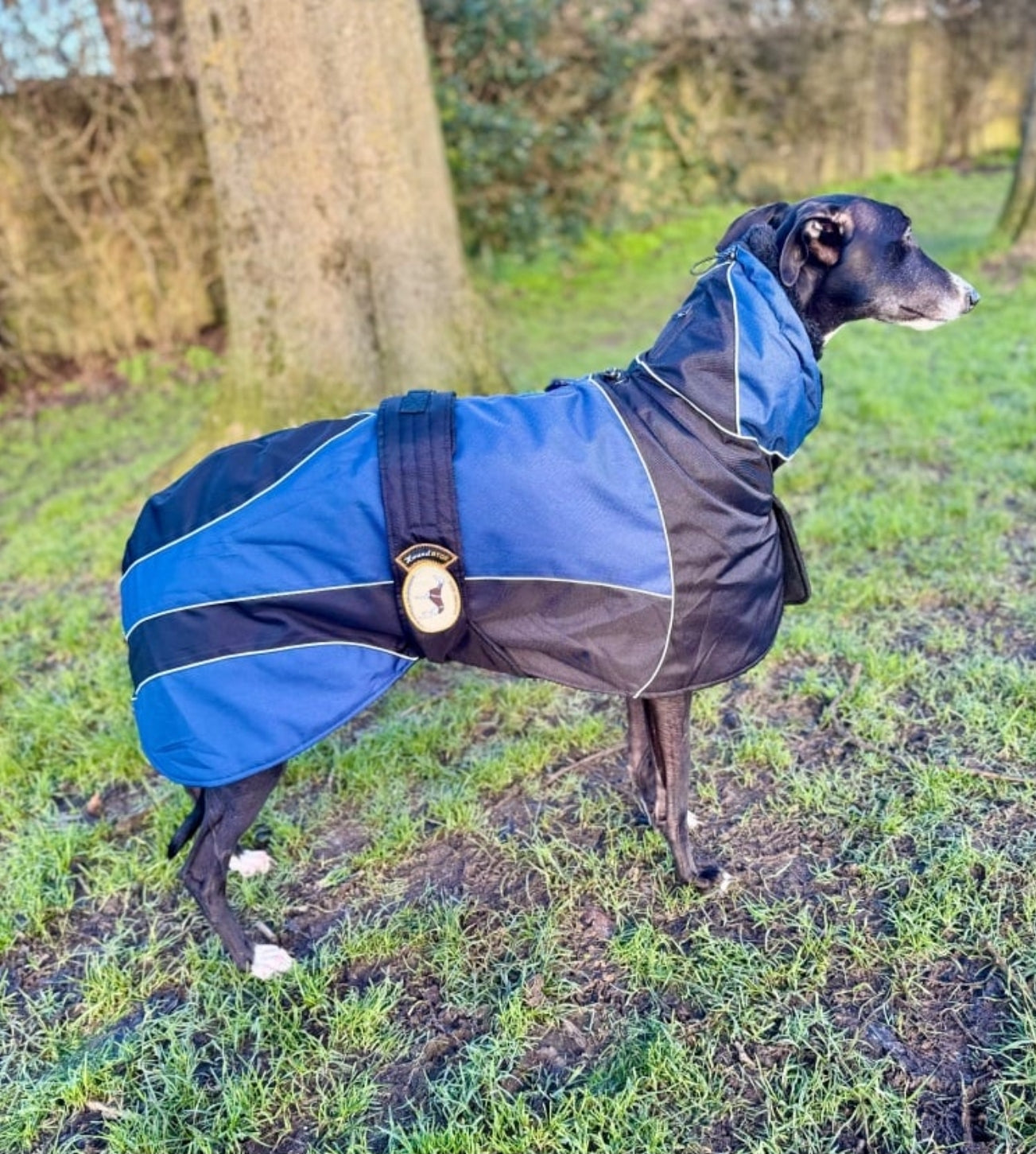Waterproof Padded Luxury Jacket; Black/Indigo for Whippets - the luxury winter jacket collection
