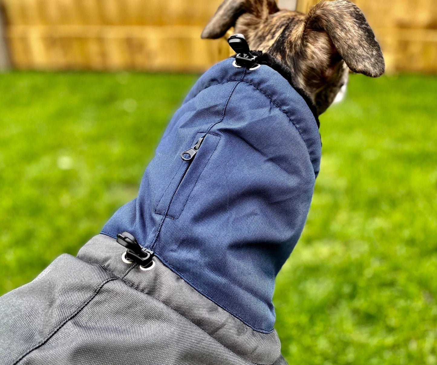 Waterproof Padded Luxury Jacket for Greyhounds Navy/grey- the luxury winter jacket collection