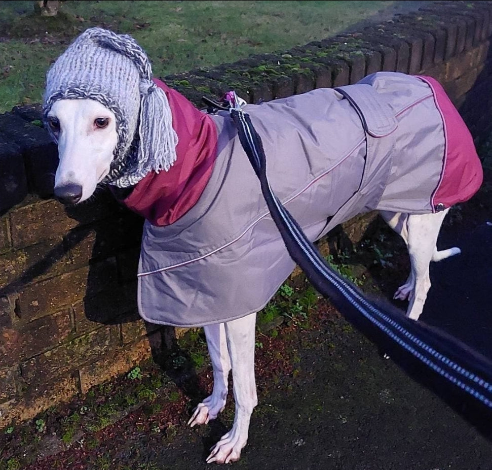 Waterproof Padded Luxury Jacket; Dark Grey/Burgundy for Whippets&Greyhounds - the luxury winter jacket collection