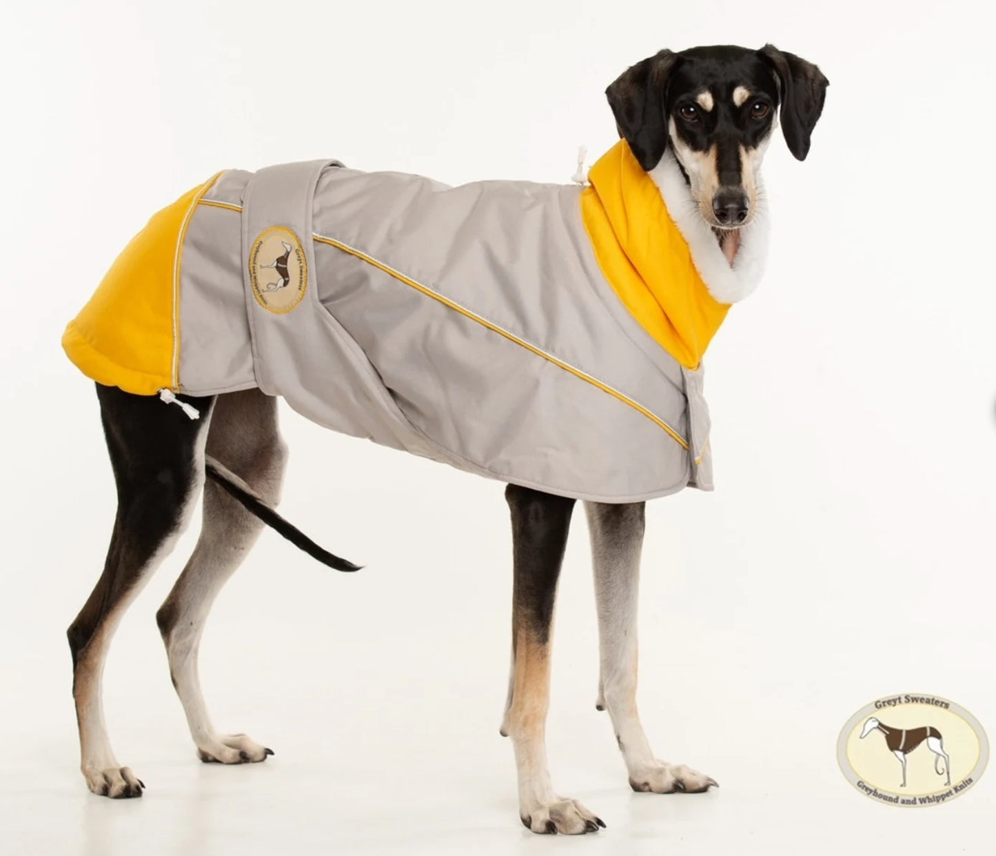 Waterproof Padded Luxury Jacket in yellow for greyhounds and whippets - the luxury winter jacket collection