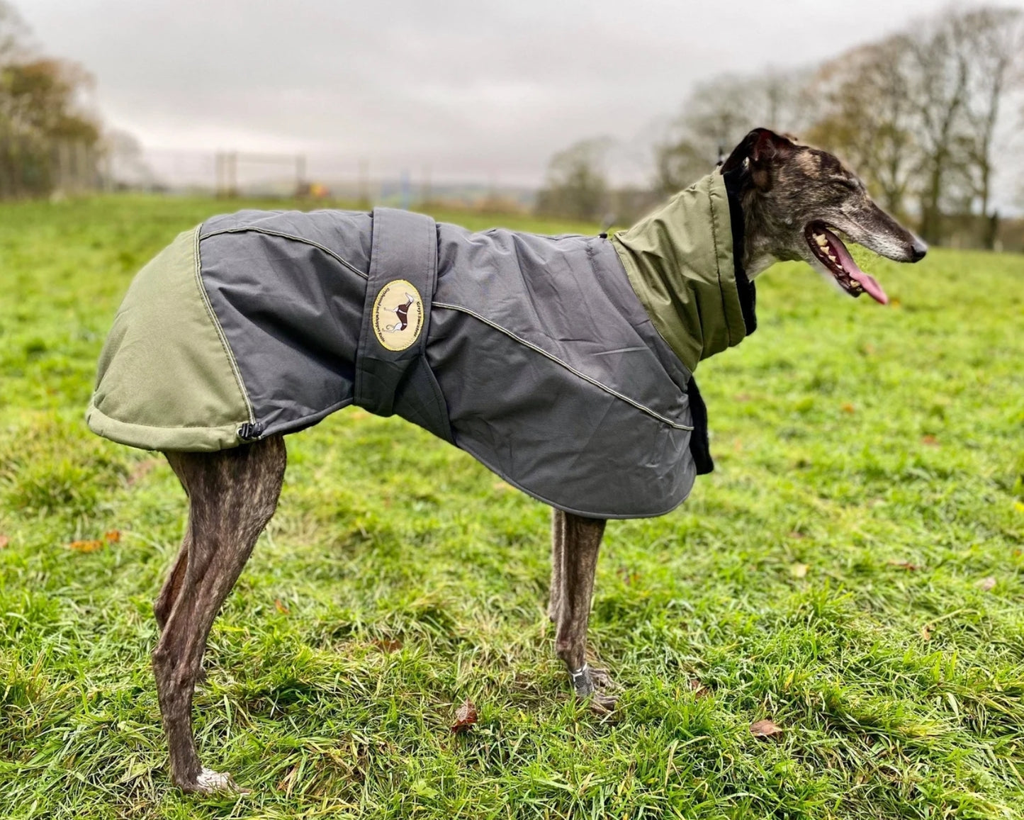 Waterproof Padded Luxury Jacket for Greyhounds Green/Grey- the luxury winter jacket collection