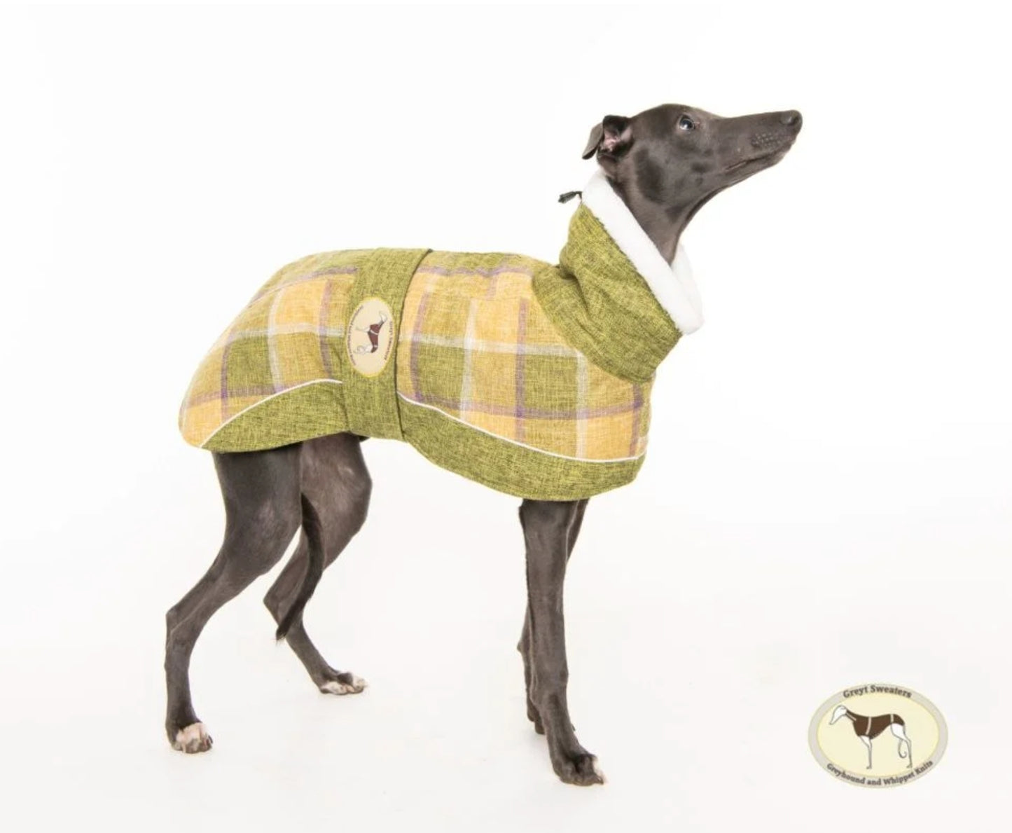 Willow tweed coat for whippets - the luxury tweed collection