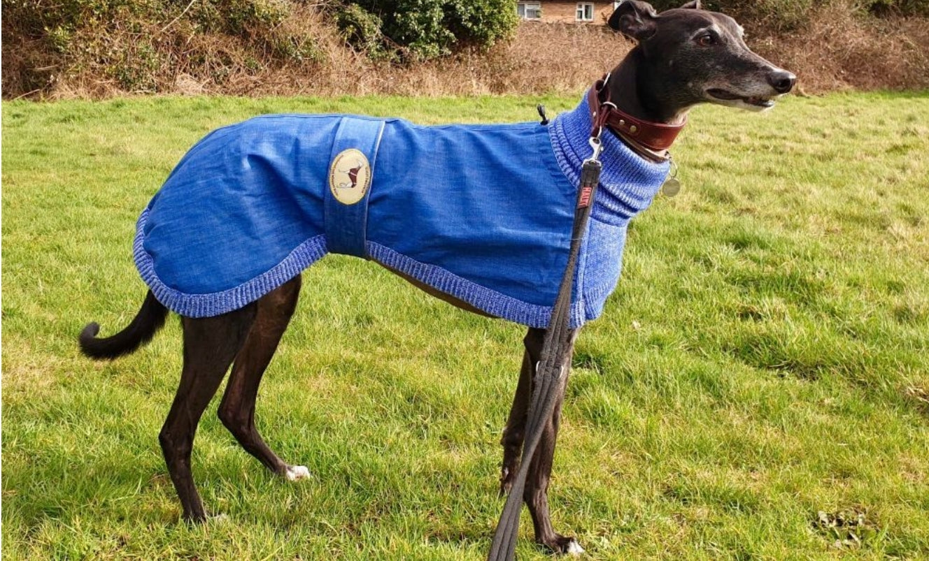 Blue or Indigo Denim/Knit Sweaters for Greyhounds+Whippets - the denim housecoat collection