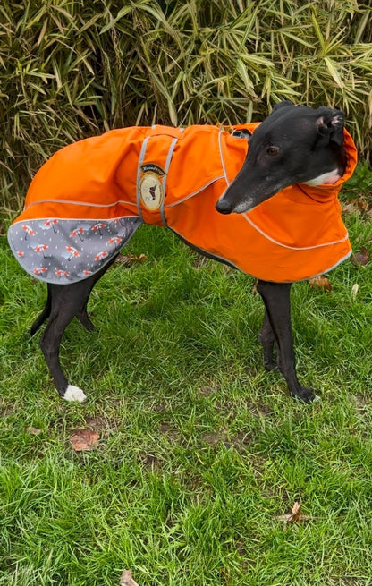 Orange umbrella print rain mac for greyhounds - the waterproof rain mac collection