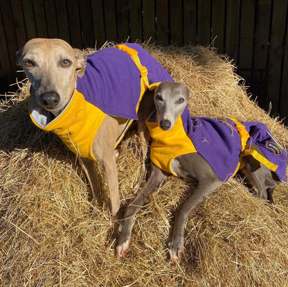 Sweat/Tee shirt for greyhounds, purple+yellow - the sweat tee shirt collection