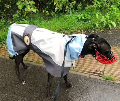 Waterproof rain coat for greyhounds, grey/powder blue - the waterproof rain coat collection