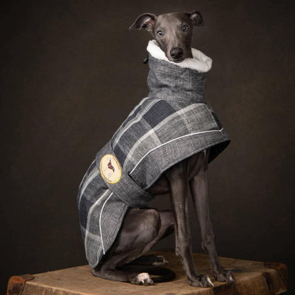 Ash Tweed coat for greyhounds-the luxury tweed collection