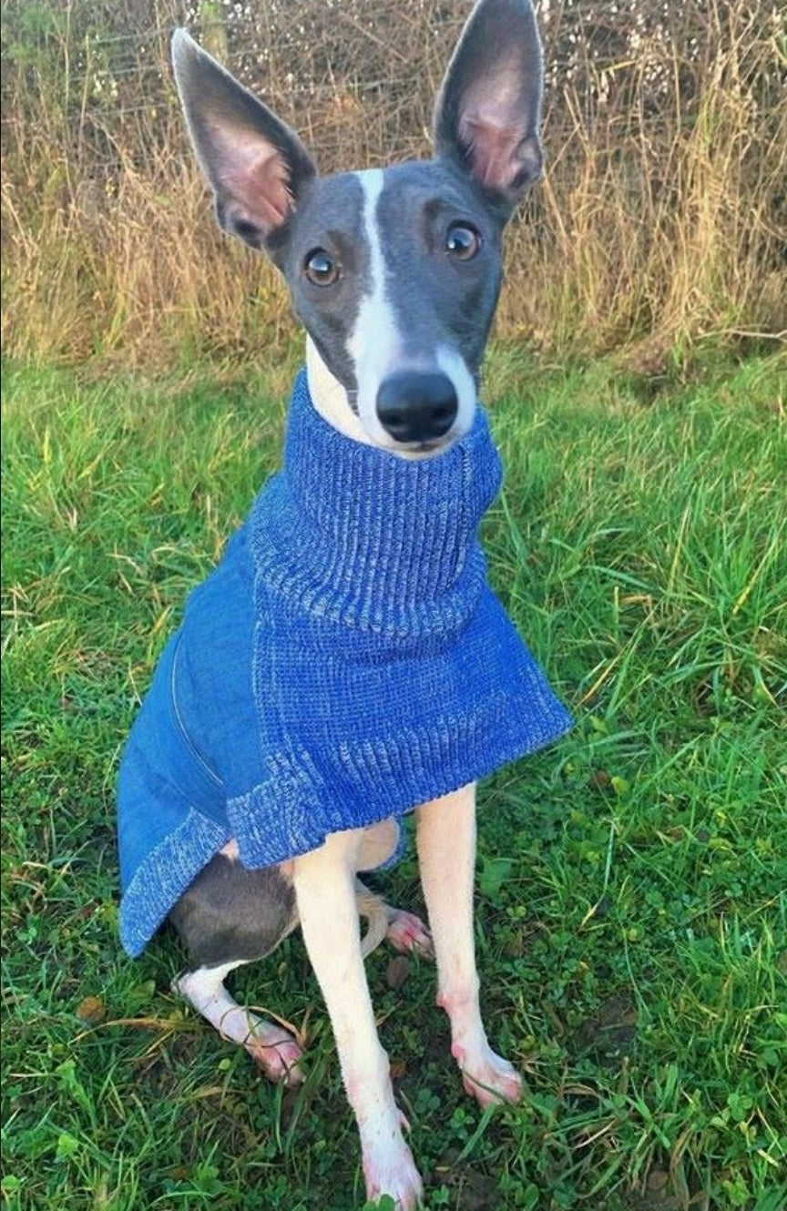 Blue or Indigo Denim/Knit Sweaters for Greyhounds+Whippets - the denim housecoat collection