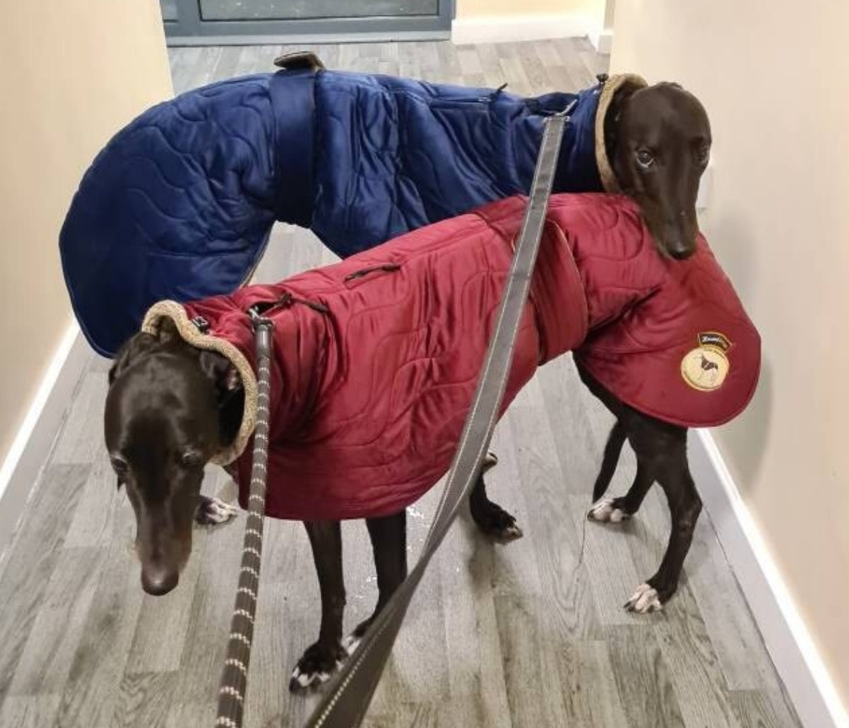 Ruby velvet knit jacket for greyhounds - the luxury regal collection