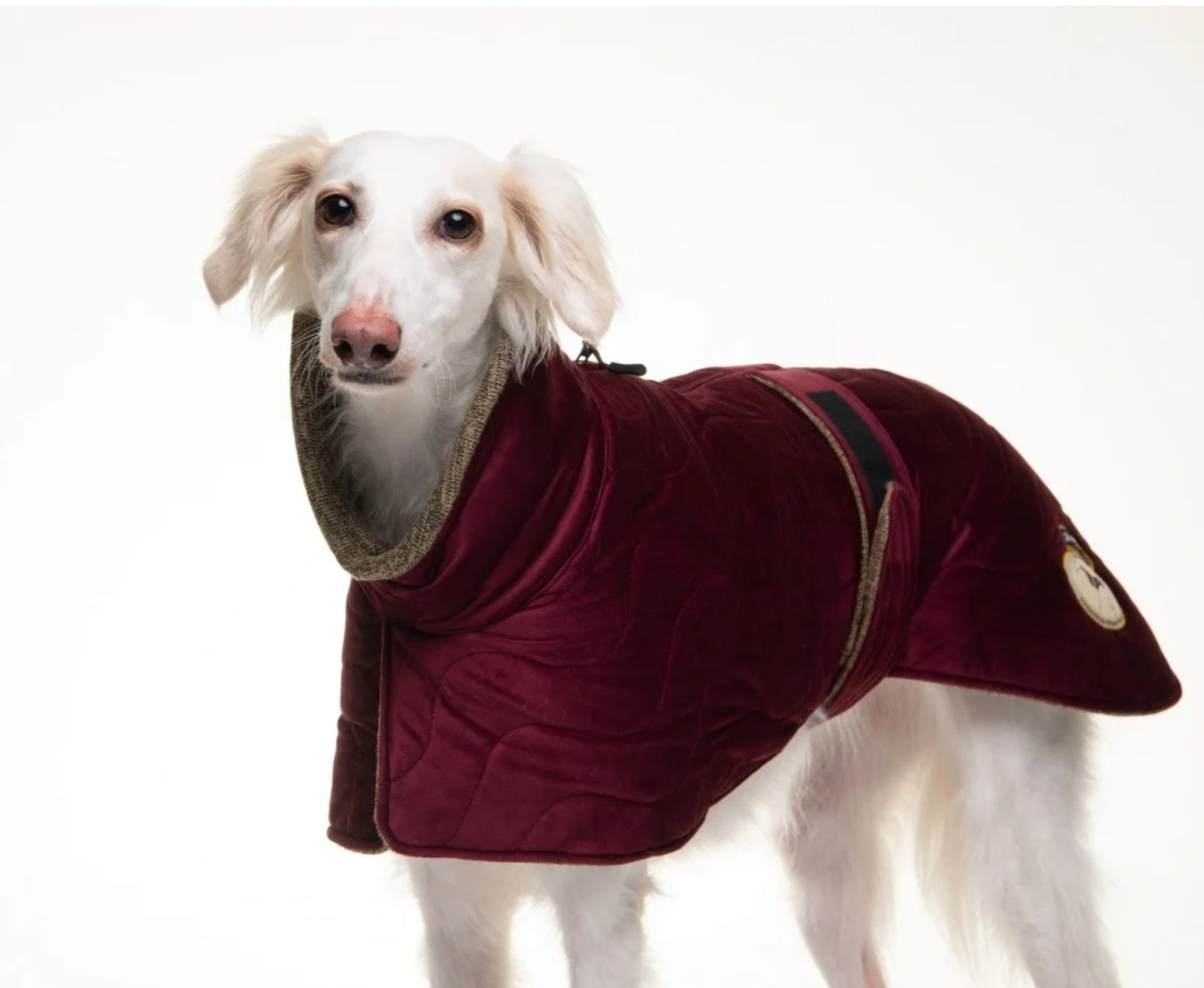 Ruby velvet knit jacket for greyhounds - the luxury regal collection