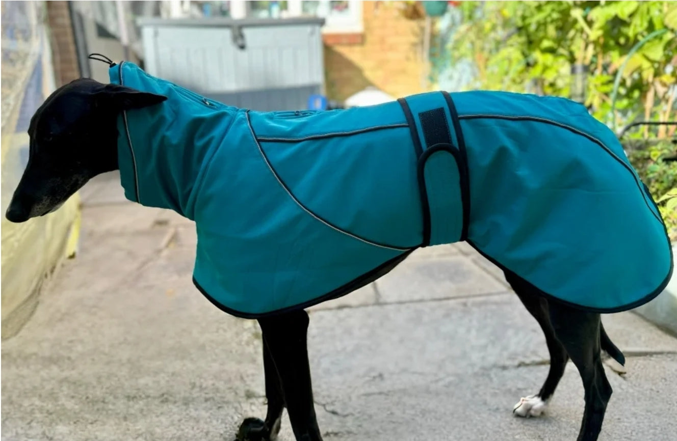 Deep Teal Soft Shell Jacket for Greyhounds - the luxury midweight collection