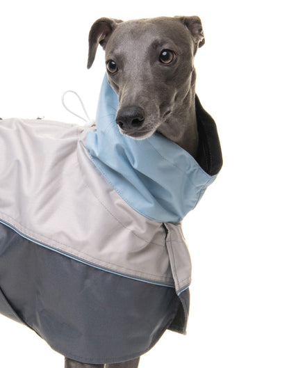 Rain coat for whippets grey/powder blue - the waterproof rain coat collection