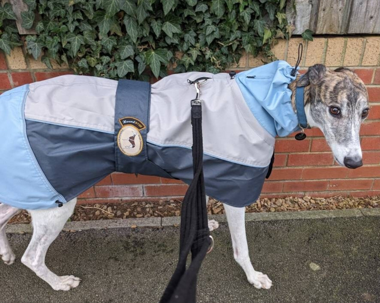 Waterproof rain coat for greyhounds, grey/powder blue - the waterproof rain coat collection