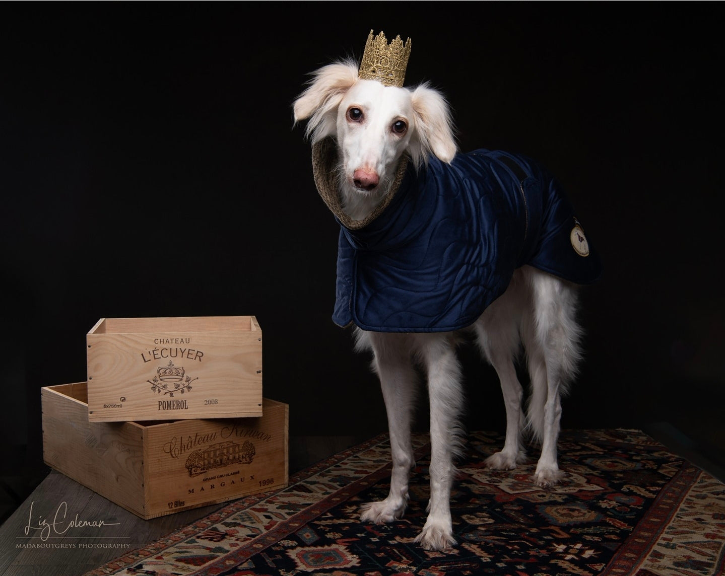 Sapphire velvet knit jacket for greyhounds - the luxury regal collection