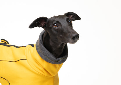 Sunny Yellow Jersey Fleece for Greyhounds - the jersey housecoat collection