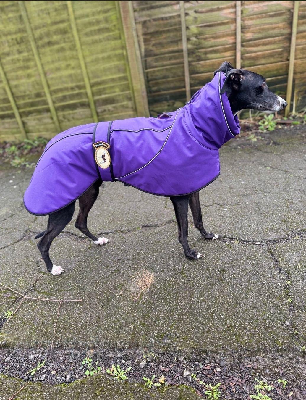 Deep Purple Soft Shell Jacket for Whippets - the luxury midweight collection