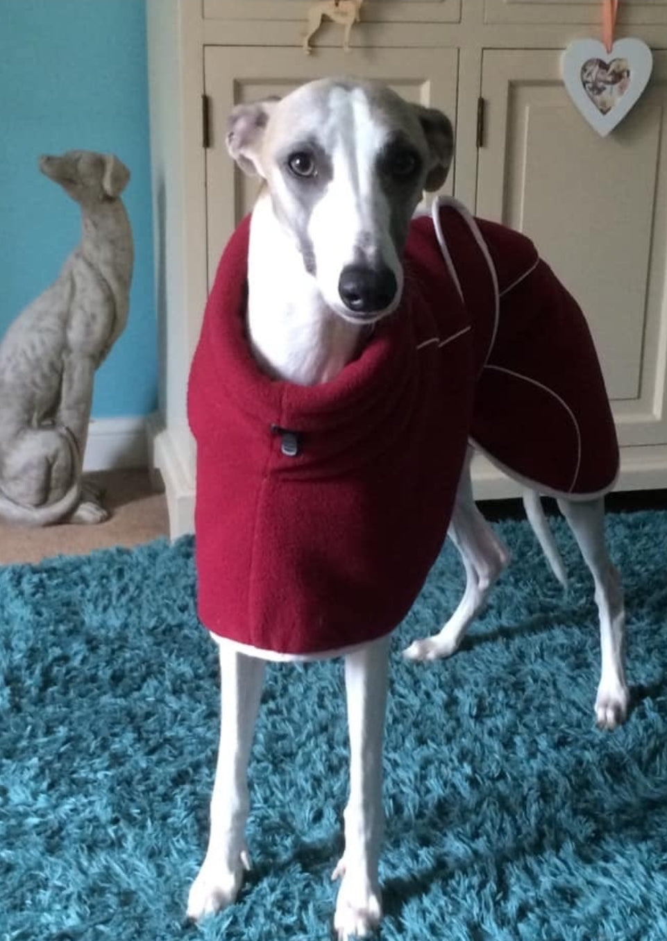 Burgundy Fleece Housecoat for Greyhounds and whippets - the fleece housecoat collection