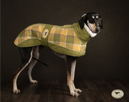 Willow tweed coat for greyhounds - the luxury tweed collection