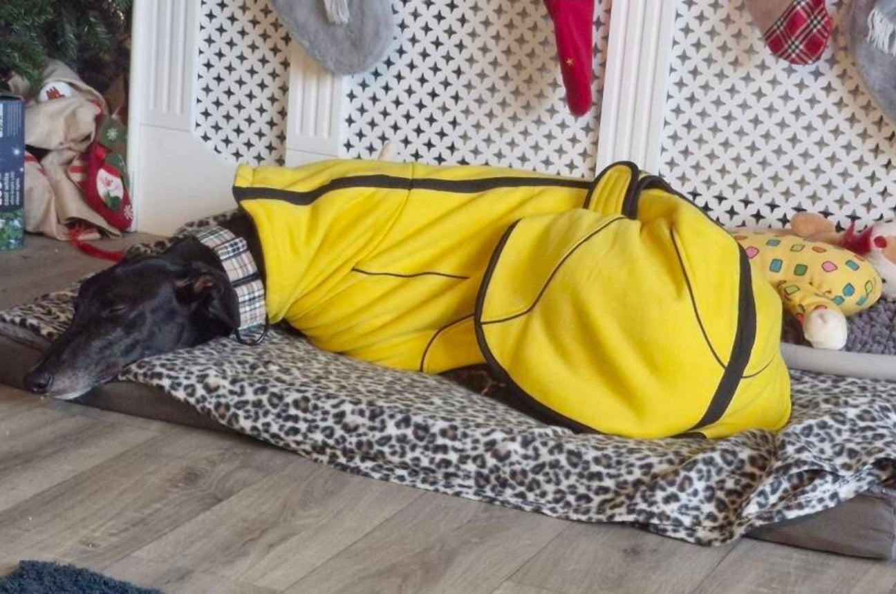 Sunny Yellow Jersey Fleece for Greyhounds - the jersey housecoat collection