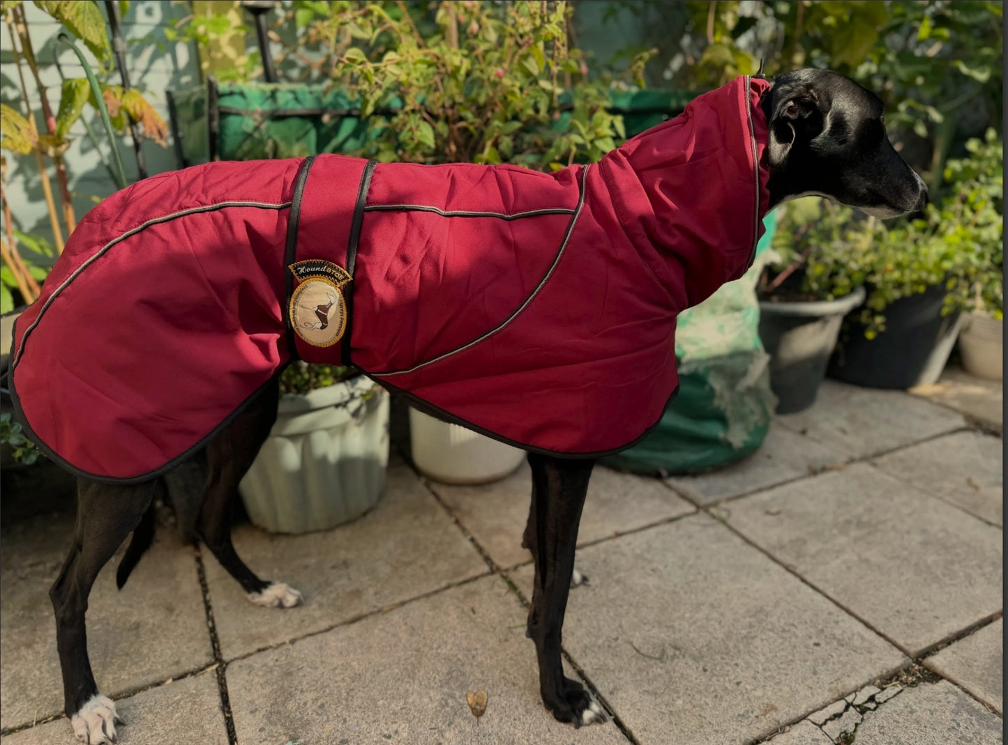 Deep Berry Soft Shell Jacket for Whippets - the luxury midweight collection