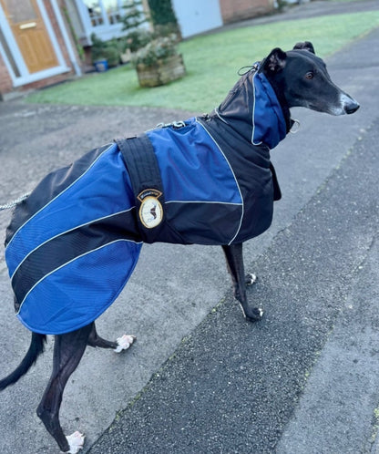 Waterproof Padded Luxury Jacket; Black/Indigo for Greyhounds - the luxury winter jacket collection