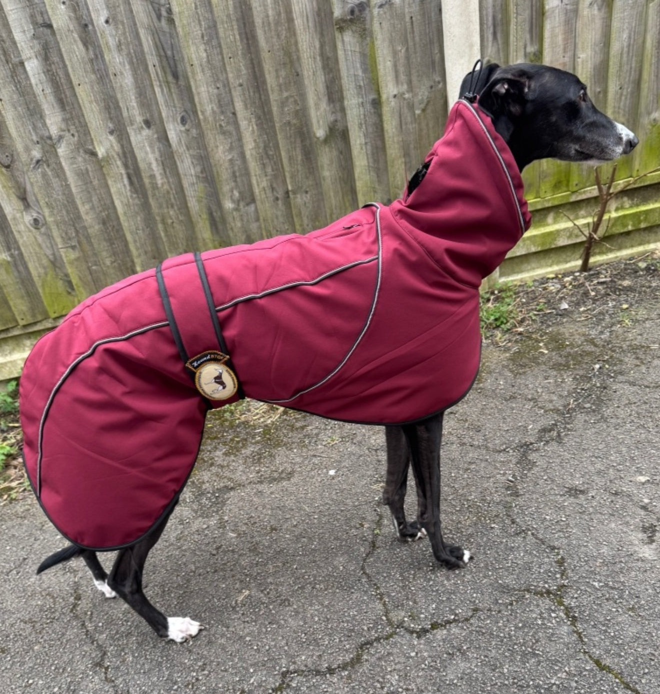 Deep Berry Soft Shell Jacket for Greyhounds - the luxury midweight collection