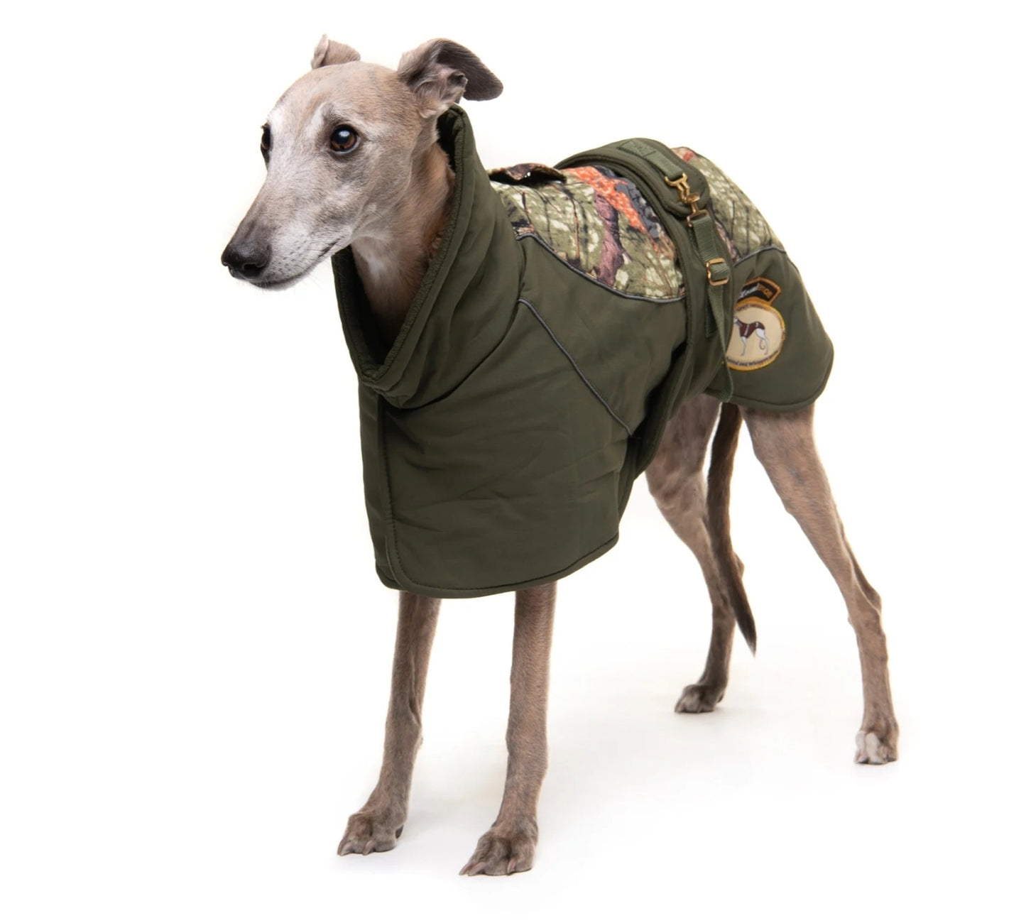 Sage or Brown Soft Shell Luxury Jacket for Whippets