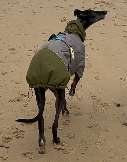 Waterproof Padded Luxury Jacket for Greyhounds Green/Grey- the luxury winter jacket collection