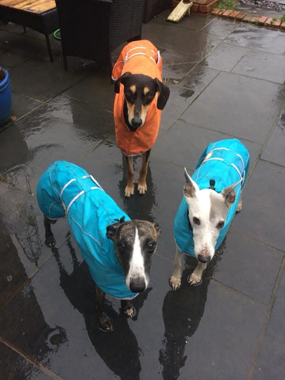 Ferozi Rain Mac for Greyhounds - the waterproof rain mac collection