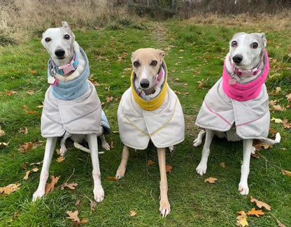 Waterproof Padded Luxury Jacket in pink for greyhounds and whippets - the luxury winter jacket collection