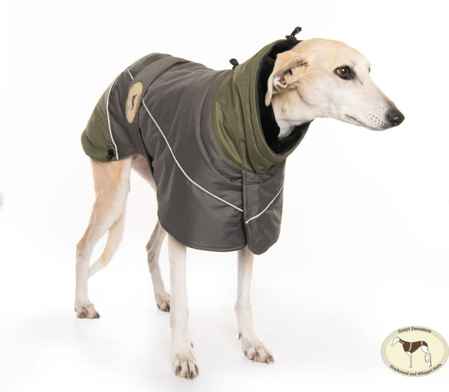 Waterproof Padded Luxury Jacket for Greyhounds Green/Grey- the luxury winter jacket collection