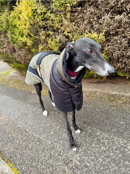 Waterproof Padded Luxury Jacket; Black/Khaki for Whippets - the luxury winter jacket collection