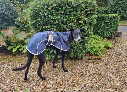 Navy Blue Rain Mac for Whippets - the waterproof rain mac collection